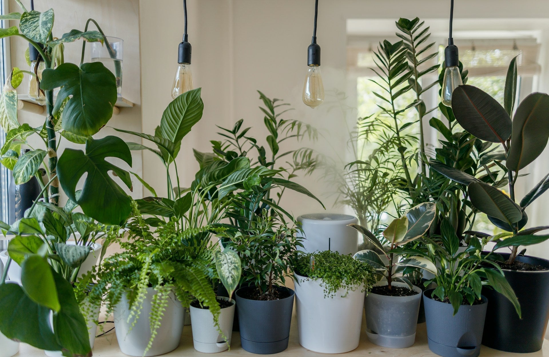 Tips for Creating a Low-Toxin Wellness Space at Home – Goodordering