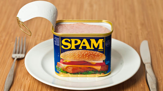 Spam recipes